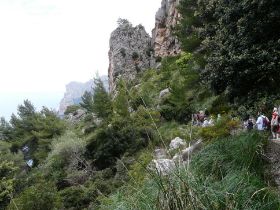 430 Wanderwoche Mallorca.JPG