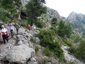 437 Wanderwoche Mallorca.JPG