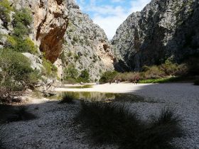 470 Wanderwoche Mallorca.JPG