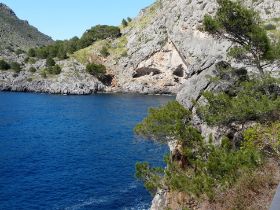 478 Wanderwoche Mallorca.JPG